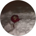 CormAlan profile picture